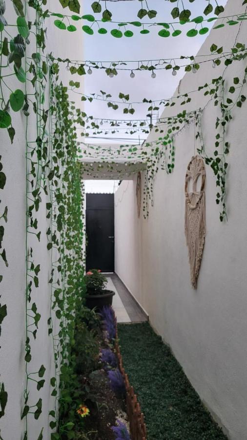 Ferienwohnung Casa Neptuno Tulum Exterior foto